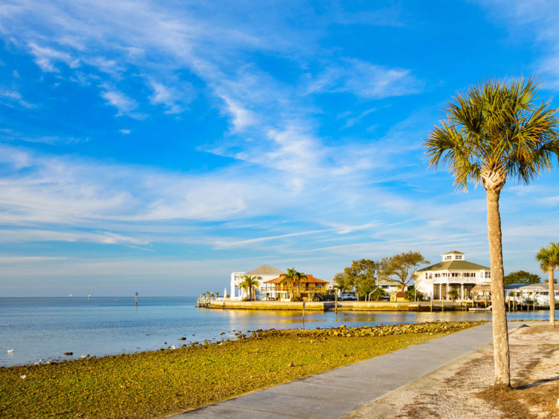 Photo of waterfront with palm trees and homes in Hudson, Florida, USA.