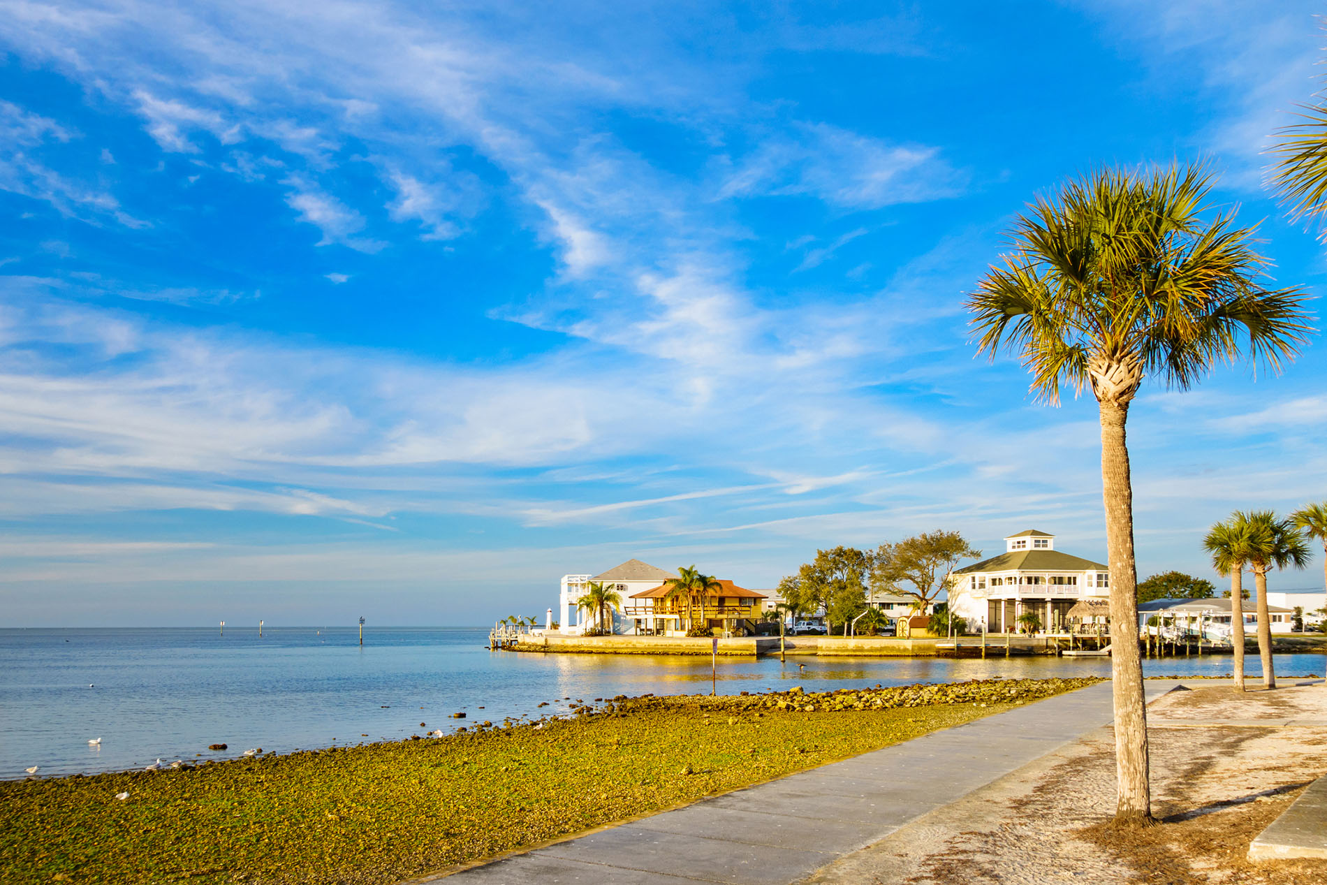 Photo of waterfront with palm trees and homes in Hudson, Florida, USA.